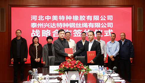 河北衡水市政企代表團蒞臨興達考察，興達&中美達成戰略合作！